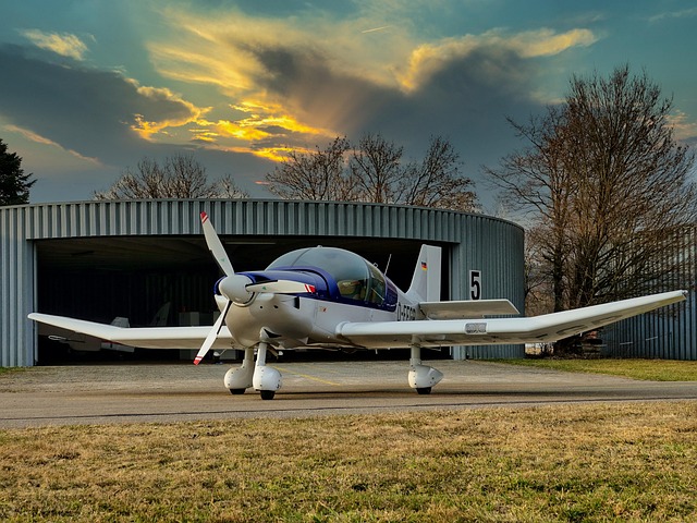 Dr Sarah Chen, Chief Executive Officer at AgriTech Solutions
