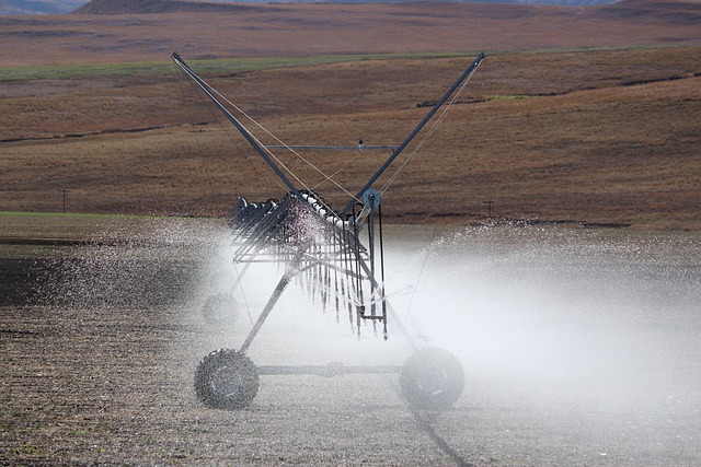 irrigation system in vegetable field