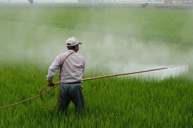 AgriTech team working with farmer in wheat field